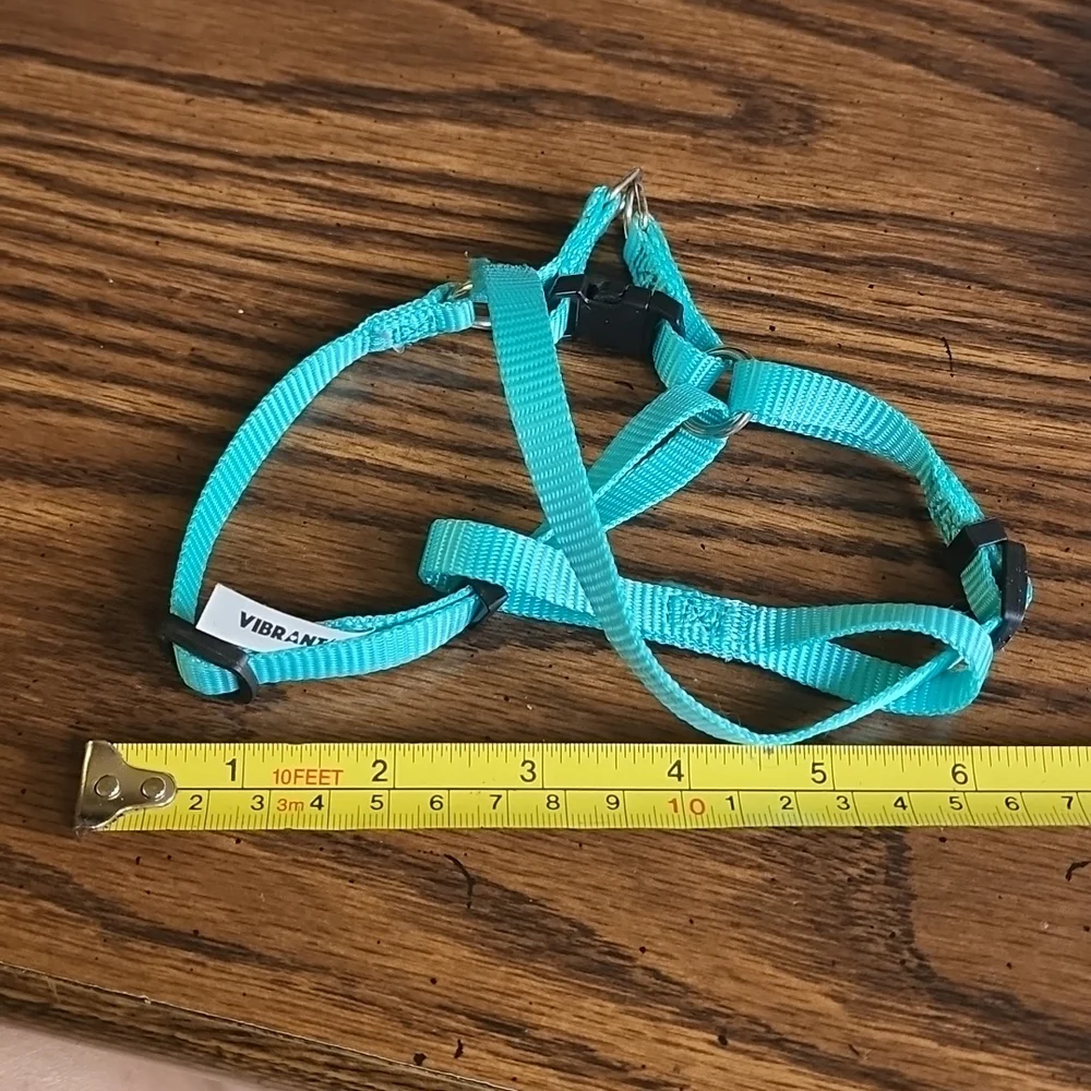 Cat Harness
